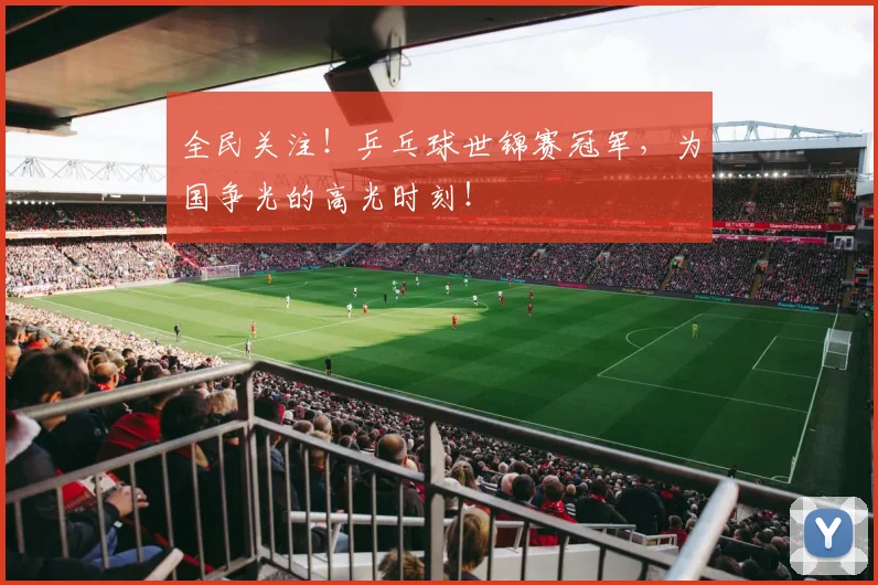 全民关注！乒乓球世锦赛冠军，为国争光的高光时刻！